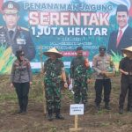 Dandim Loteng Hadiri Penanaman Jagung Serentak 1 Juta Hektar Oleh Polres Loteng Di Desa Mekar Damai