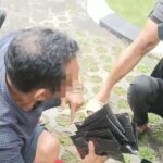 Polres Loteng Bongkar Jaringan Gelap Narkoba Lintas Provinsi.