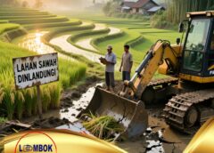 Vila Diduga Berdiri di Atas Lahan Sawah Dilindungi, LI TIPIKOR NTB Tantang BPN dan Dinas Perizinan Buka Data”